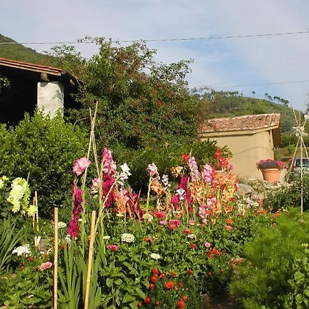 Apartment Adorable Tuscan With Beautiful Garden Just Outside Lucca, Sleeps 4