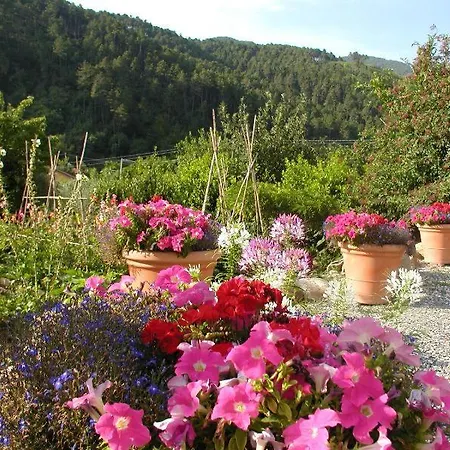 Adorable Tuscan With Beautiful Garden Just Outside Lucca, Sleeps 4 Capannori