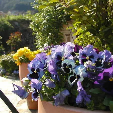 Adorable Tuscan With Beautiful Garden Just Outside Lucca, Sleeps 4 Apartment *