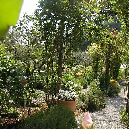Adorable Tuscan With Beautiful Garden Just Outside Lucca, Sleeps 4 Capannori
