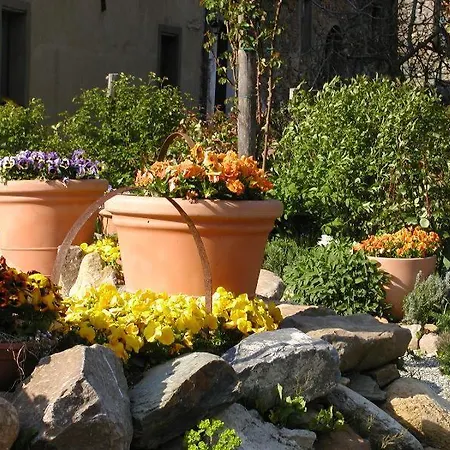 Apartment Adorable Tuscan With Beautiful Garden Just Outside Lucca, Sleeps 4